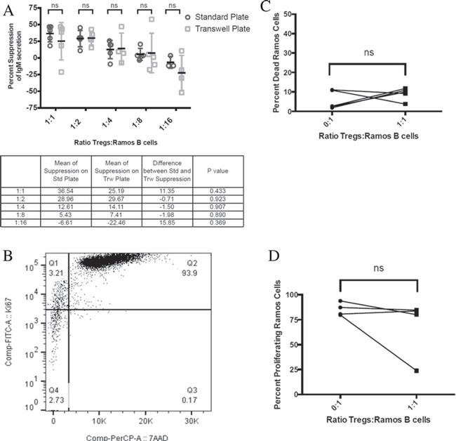 CD4 Antibody in Flow Cytometry (Flow)