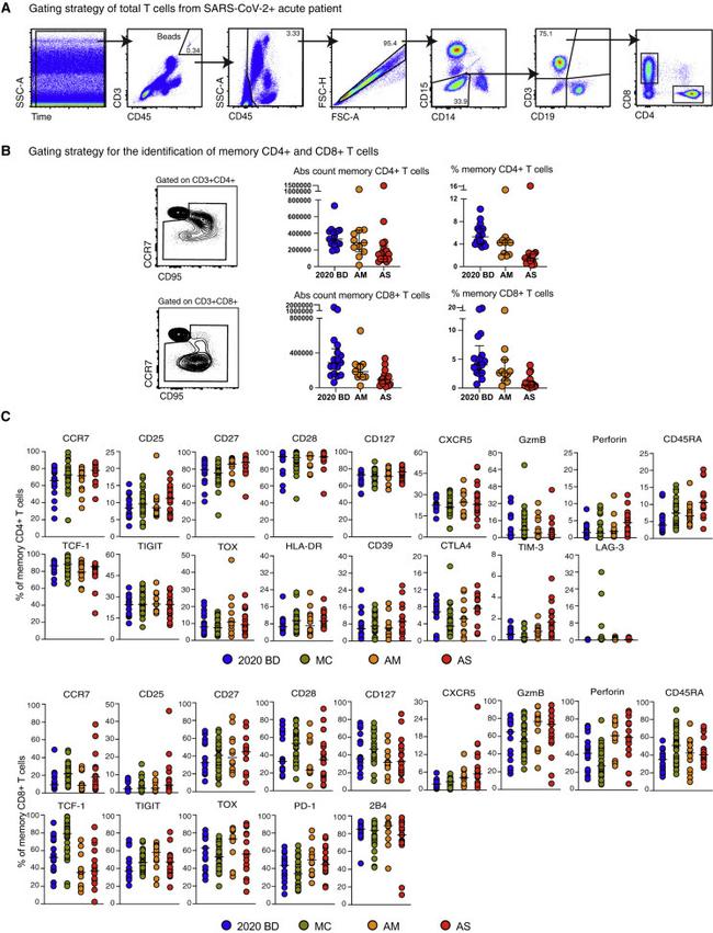 CD4 Antibody in Flow Cytometry (Flow)