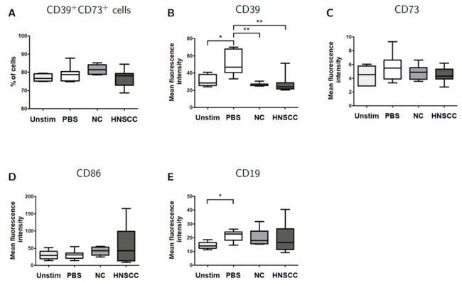 CD39 Antibody in Flow Cytometry (Flow)