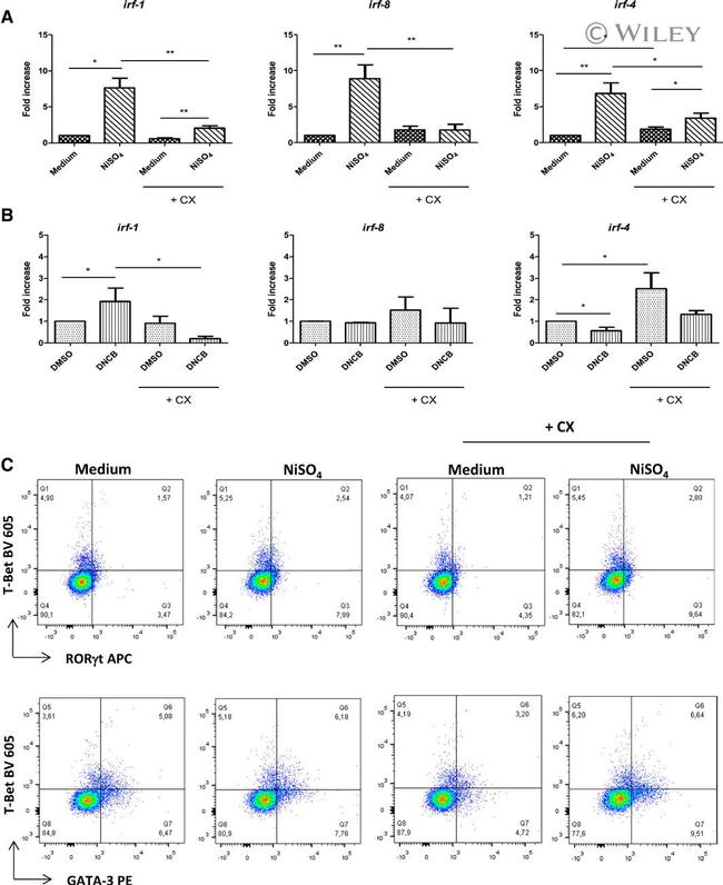 Gata-3 Antibody in Flow Cytometry (Flow)