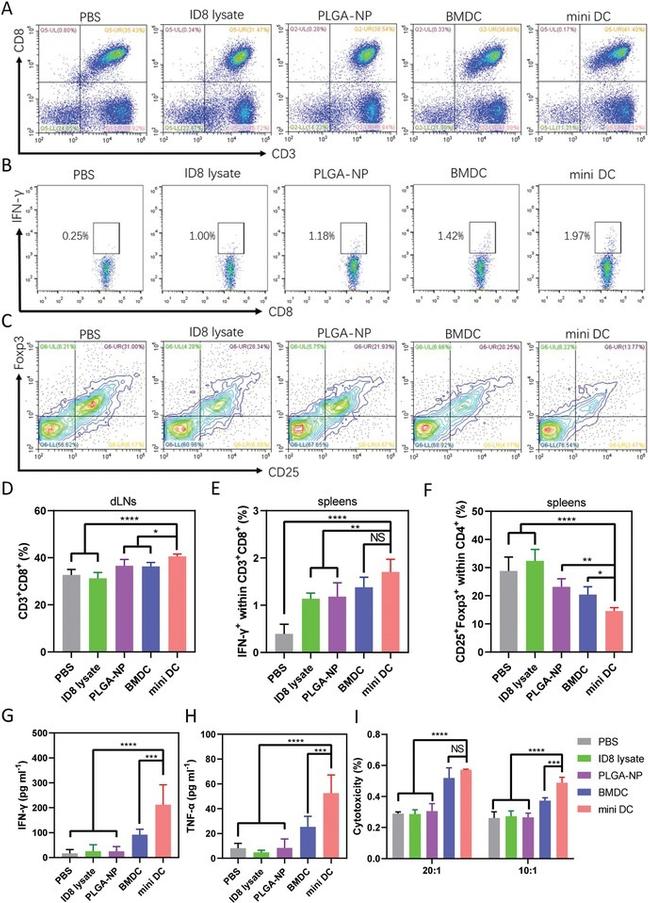 CD25 Antibody in Flow Cytometry (Flow)