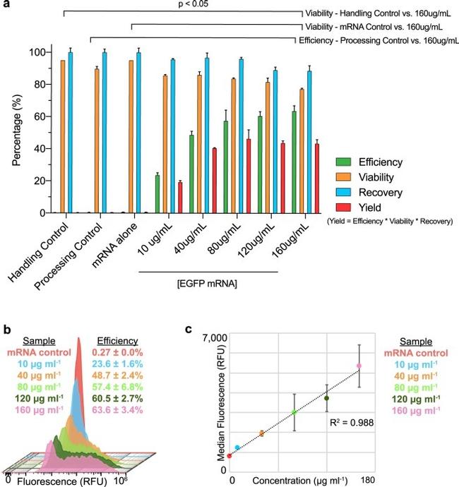 CD3 Antibody in Flow Cytometry (Flow)