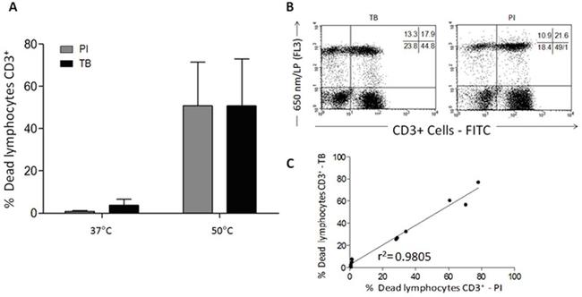 CD3 Antibody in Flow Cytometry (Flow)