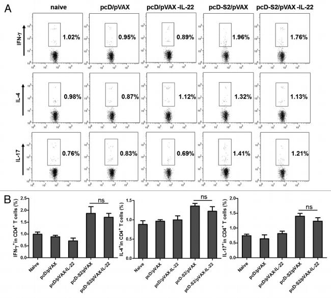 IL-4 Antibody in Flow Cytometry (Flow)