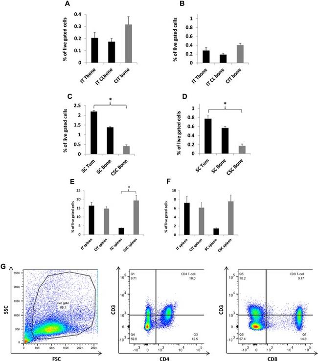 CD8a Antibody in Flow Cytometry (Flow)