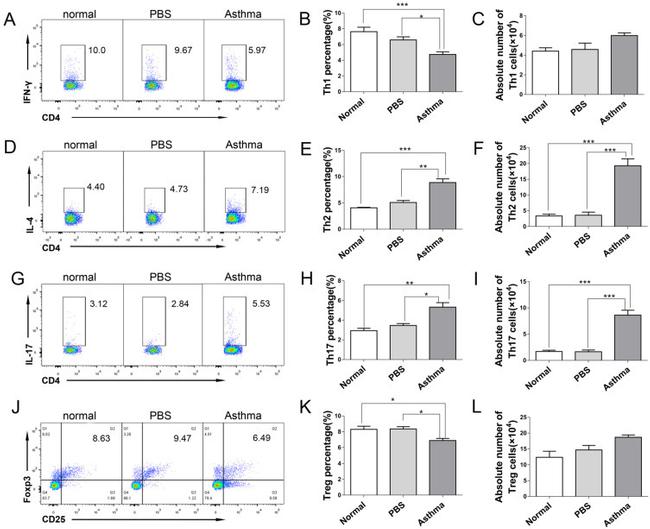 CD4 Antibody in Flow Cytometry (Flow)