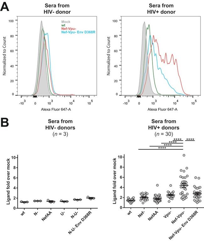 CD4 Antibody in Flow Cytometry (Flow)