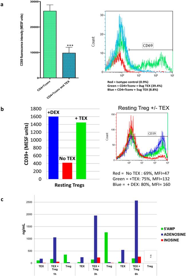 CD39 Antibody in Flow Cytometry (Flow)