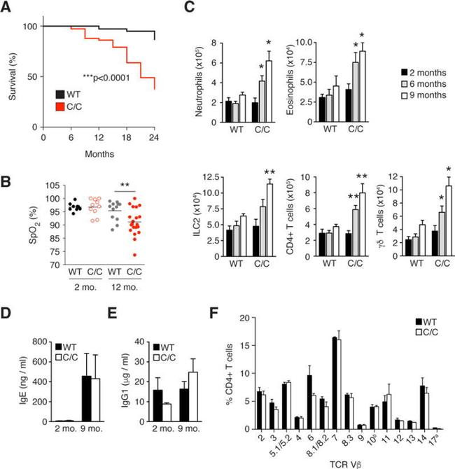 CD4 Antibody in Flow Cytometry (Flow)