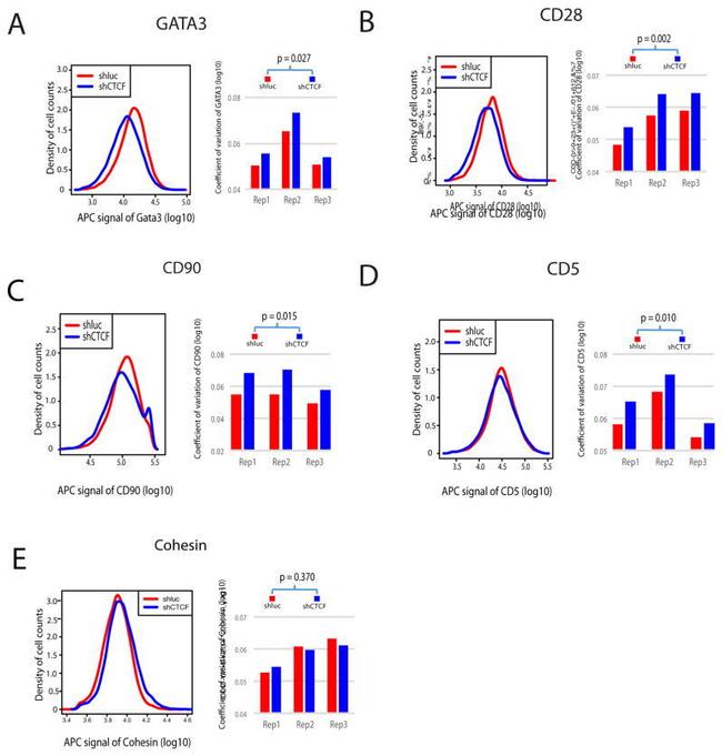 CD28 Antibody in Flow Cytometry (Flow)