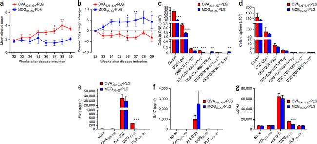 IL-17A Antibody in Flow Cytometry (Flow)