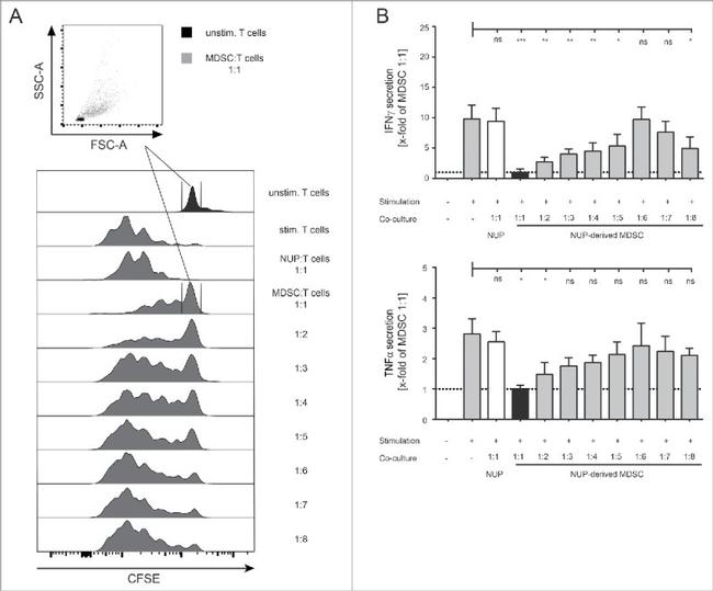 CD8a Antibody in Flow Cytometry (Flow)