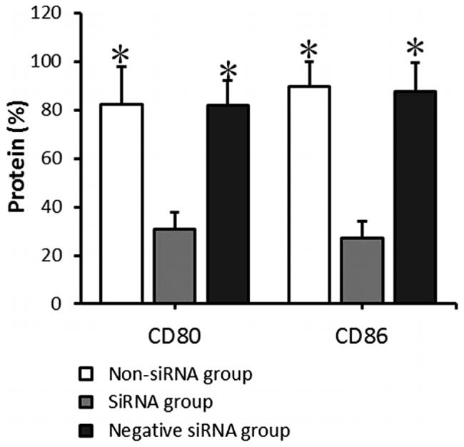 CD86 (B7-2) Antibody in Flow Cytometry (Flow)