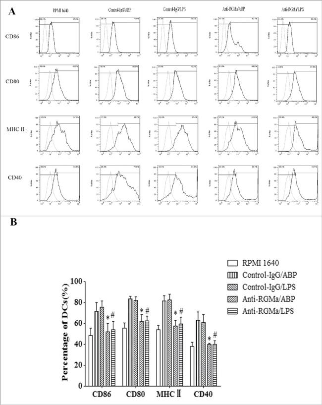 CD86 (B7-2) Antibody in Flow Cytometry (Flow)