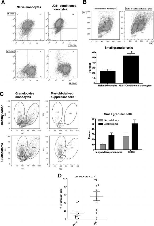 CD11b Antibody in Flow Cytometry (Flow)