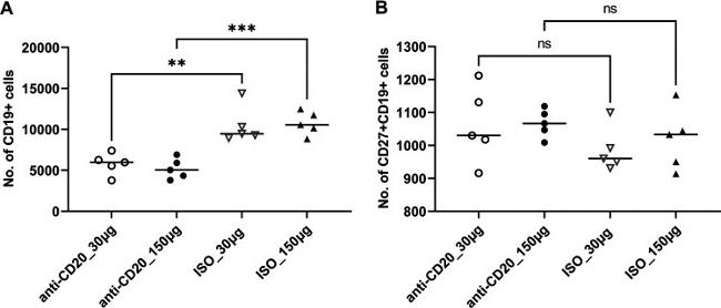 CD27 Antibody in Flow Cytometry (Flow)