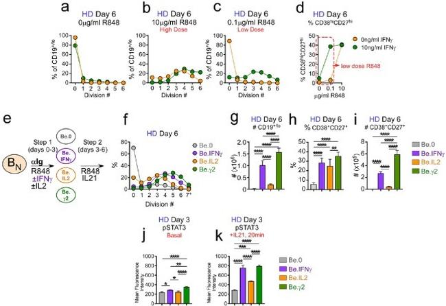 CD38 Antibody in Flow Cytometry (Flow)