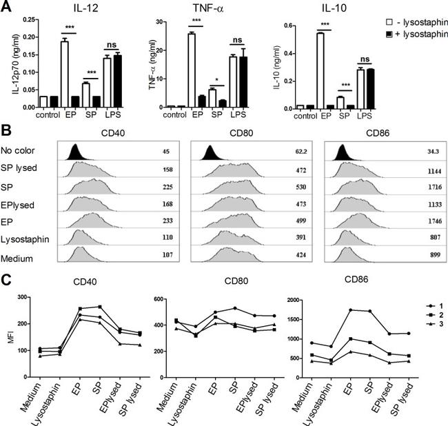 CD86 (B7-2) Antibody in Flow Cytometry (Flow)