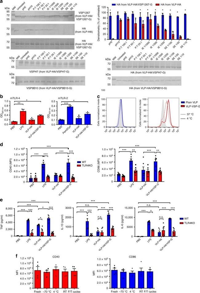 CD86 (B7-2) Antibody in Flow Cytometry (Flow)