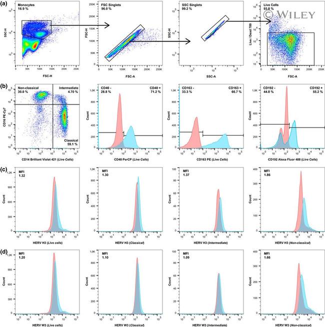 CD40 Antibody in Flow Cytometry (Flow)