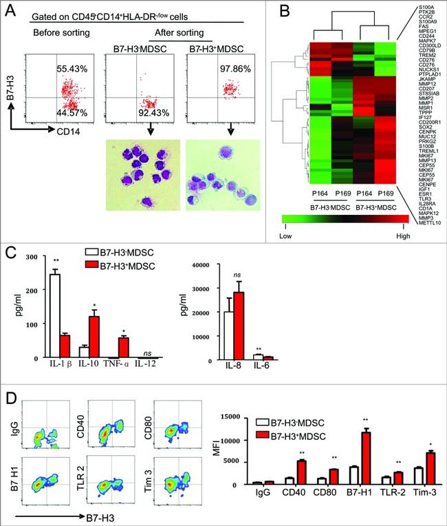 CD40 Antibody in Flow Cytometry (Flow)