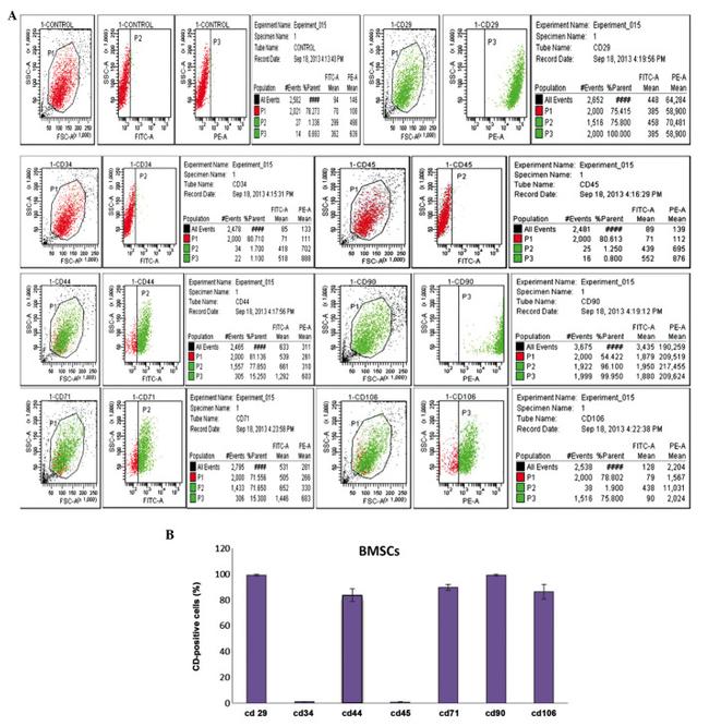 CD71 (Transferrin Receptor) Antibody in Flow Cytometry (Flow)