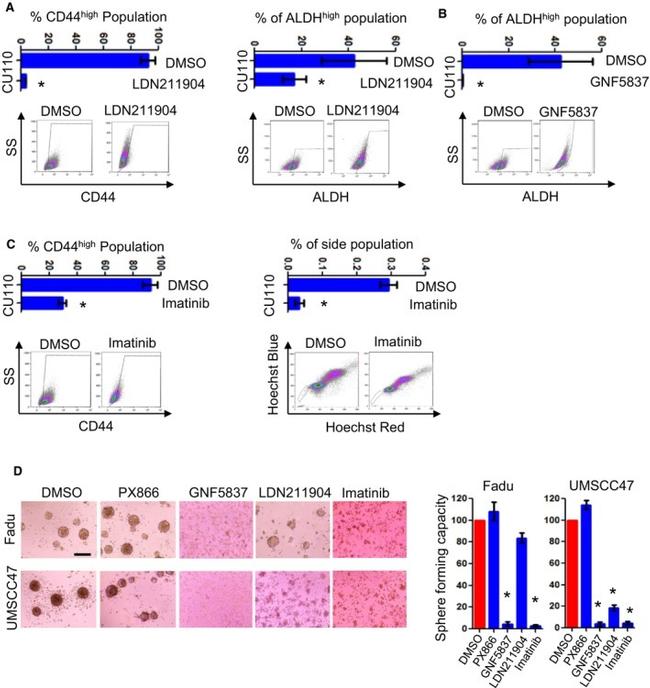 CD44 Antibody in Flow Cytometry (Flow)