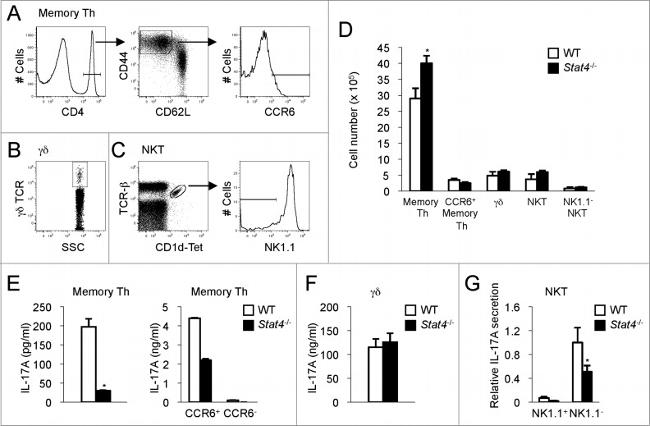 CD62L (L-Selectin) Antibody in Flow Cytometry (Flow)