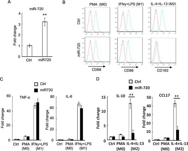 CD163 Antibody in Flow Cytometry (Flow)