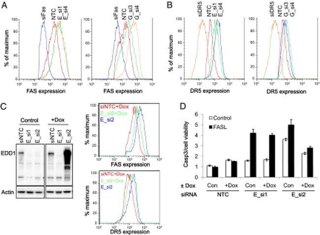 CD95 (APO-1/Fas) Antibody in Flow Cytometry (Flow)