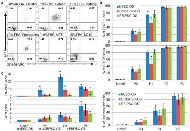 CD105 (Endoglin) Antibody in Flow Cytometry (Flow)