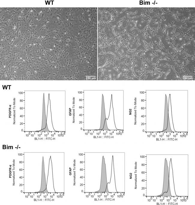 CD140a (PDGFRA) Antibody in Flow Cytometry (Flow)