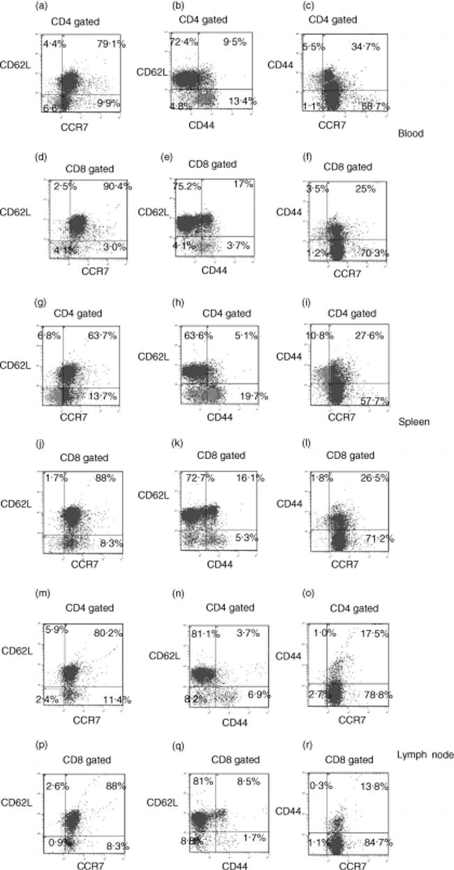 CD197 (CCR7) Antibody in Flow Cytometry (Flow)