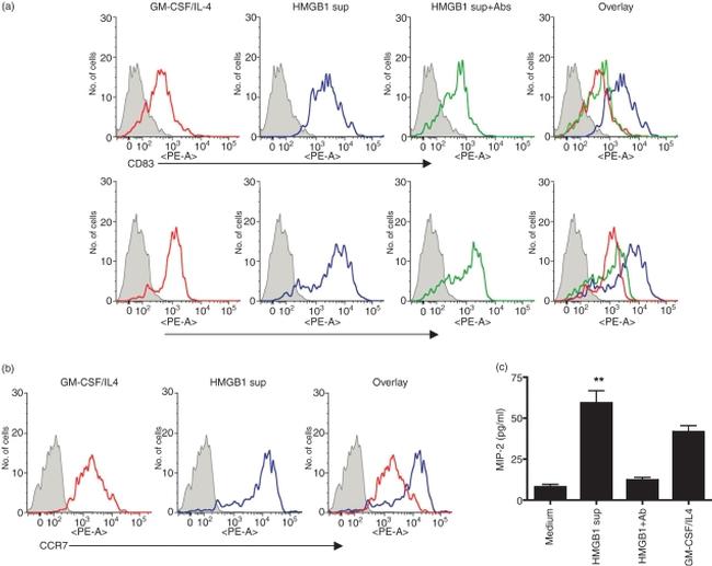 CD197 (CCR7) Antibody in Flow Cytometry (Flow)