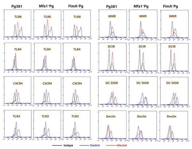 CD209 (DC-SIGN) Antibody in Flow Cytometry (Flow)