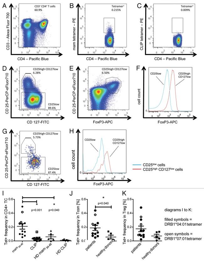 CD3e Antibody in Flow Cytometry (Flow)