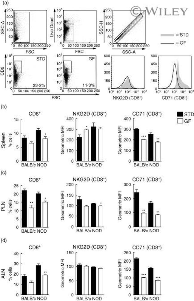 CD314 (NKG2D) Antibody in Flow Cytometry (Flow)