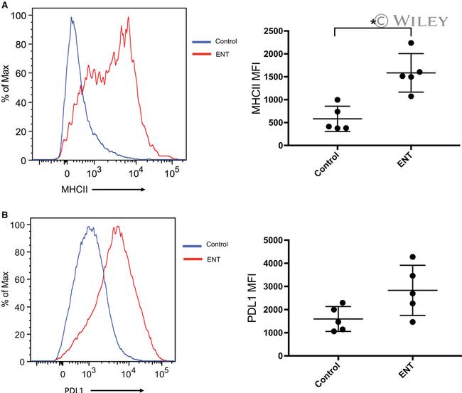 CD274 (PD-L1, B7-H1) Antibody in Flow Cytometry (Flow)