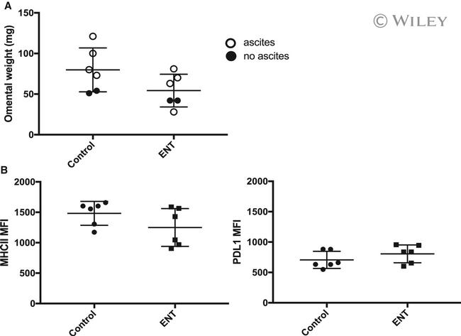 CD274 (PD-L1, B7-H1) Antibody in Flow Cytometry (Flow)