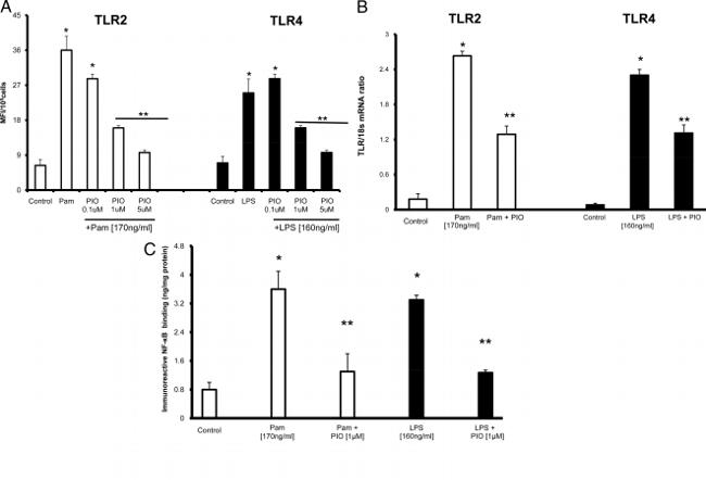 CD284 (TLR4) Antibody in Flow Cytometry (Flow)