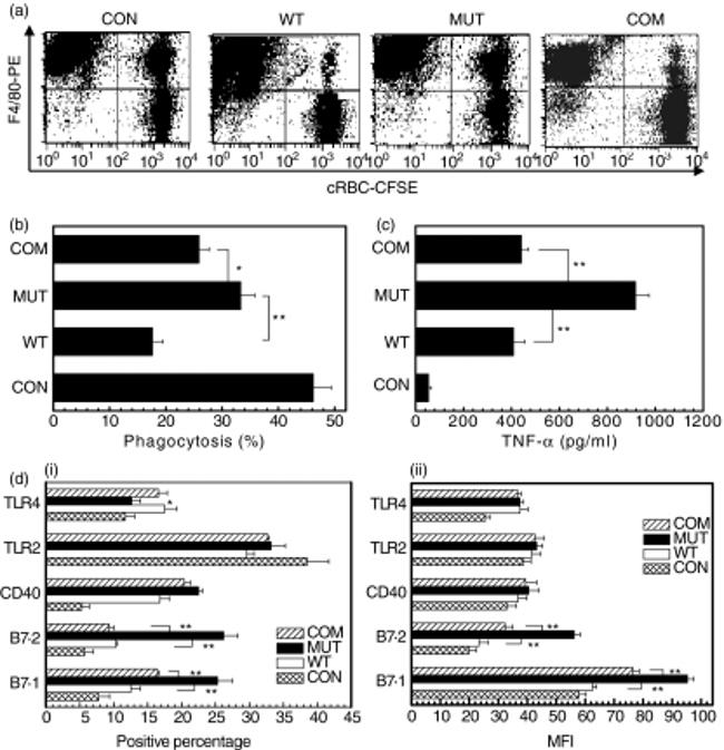 CD284 (TLR4) Antibody in Flow Cytometry (Flow)