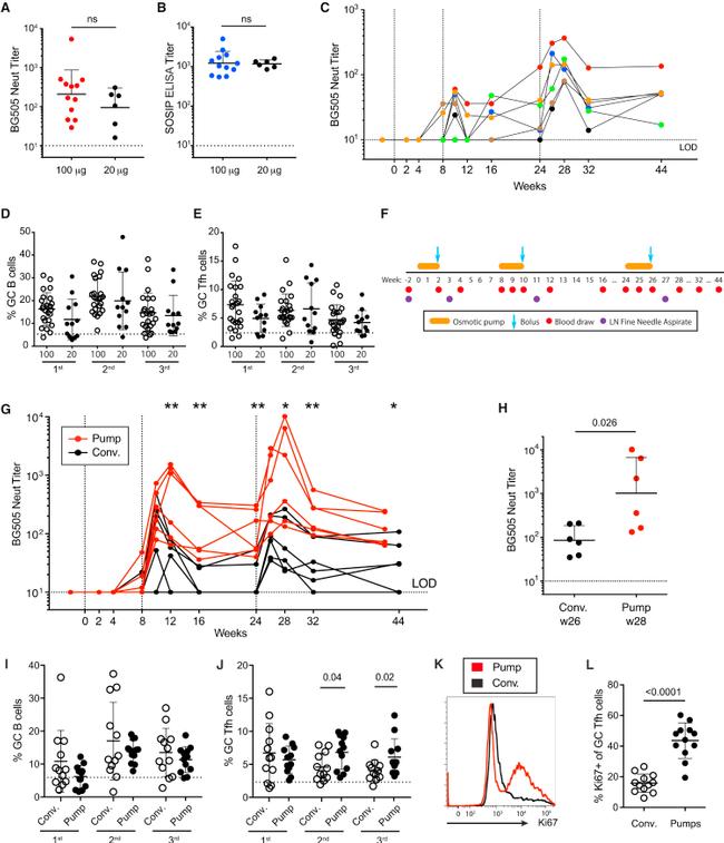 CD185 (CXCR5) Antibody in Flow Cytometry (Flow)