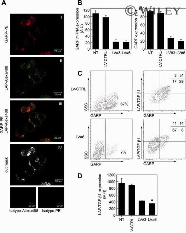 GARP Antibody in Flow Cytometry (Flow)