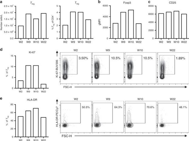 HLA-DR Antibody in Flow Cytometry (Flow)