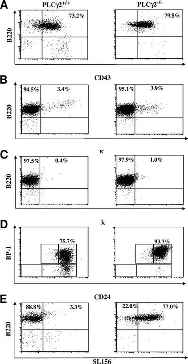 CD45R (B220) Antibody in Flow Cytometry (Flow)