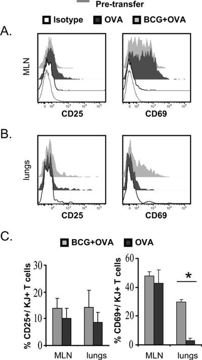 CD69 Antibody in Flow Cytometry (Flow)