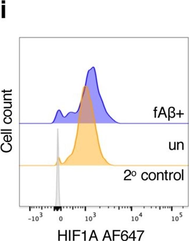 Rabbit IgG (H+L) Highly Cross-Adsorbed Secondary Antibody in Flow Cytometry (Flow)