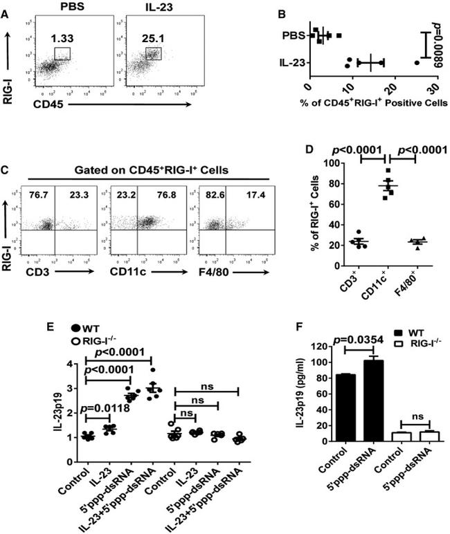 CD3e Antibody in Flow Cytometry (Flow)