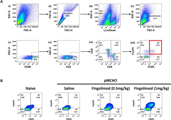 CD25 Antibody in Flow Cytometry (Flow)