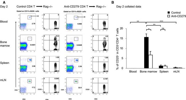 CD3e Antibody in Flow Cytometry (Flow)